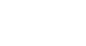 Primary Wave